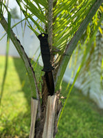 Pacific Solutions Groove Molded Enhanced Grip Spear Point Black Spring Assisted Knife 3.75"